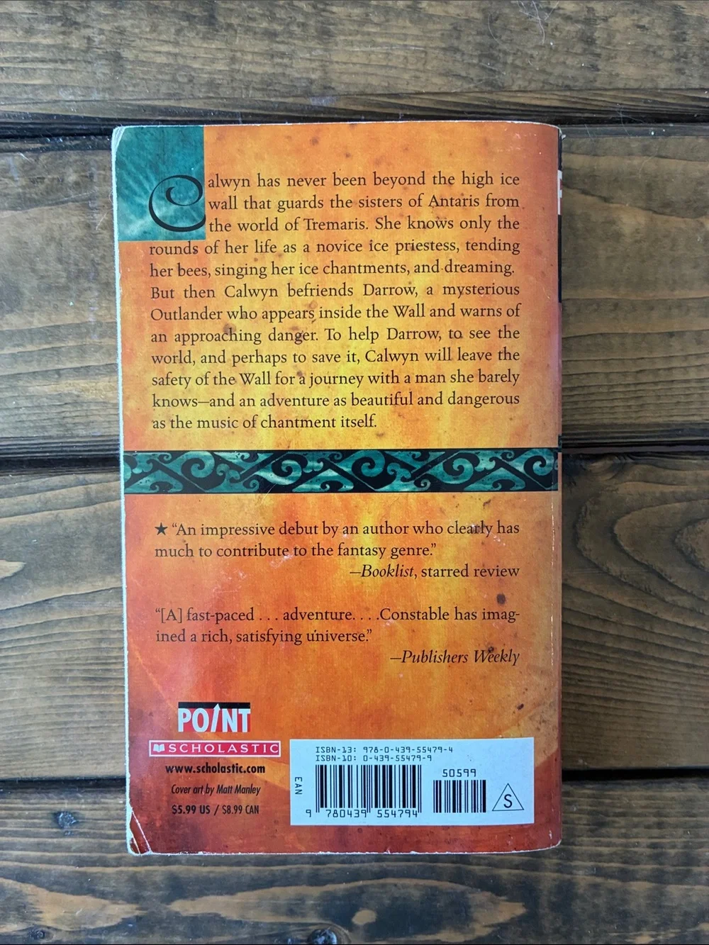The Singer of All Songs book